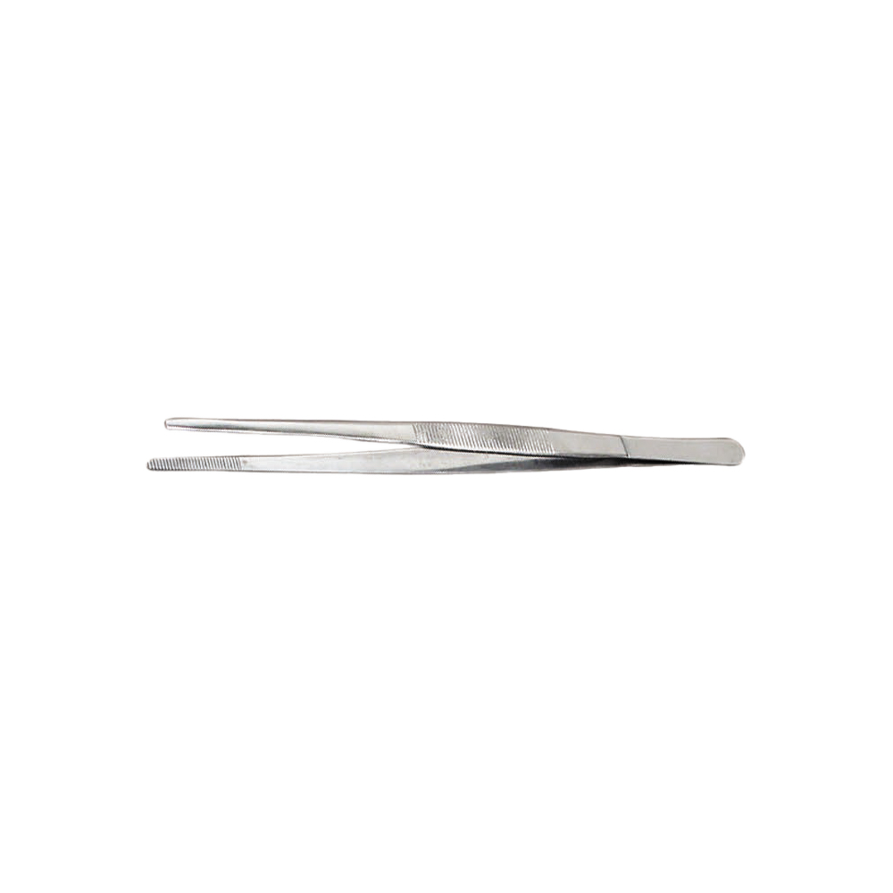 pINZA DE PRECISION 100MM INOX