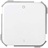 31133-30 interruptor bipolar 16a s-31 blanco nieve Ref. 6553130006